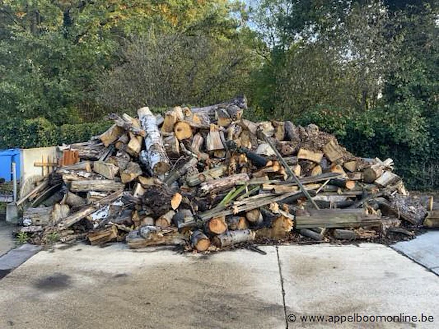 Lot hout, +/- 25 kuub - afbeelding 2 van  3