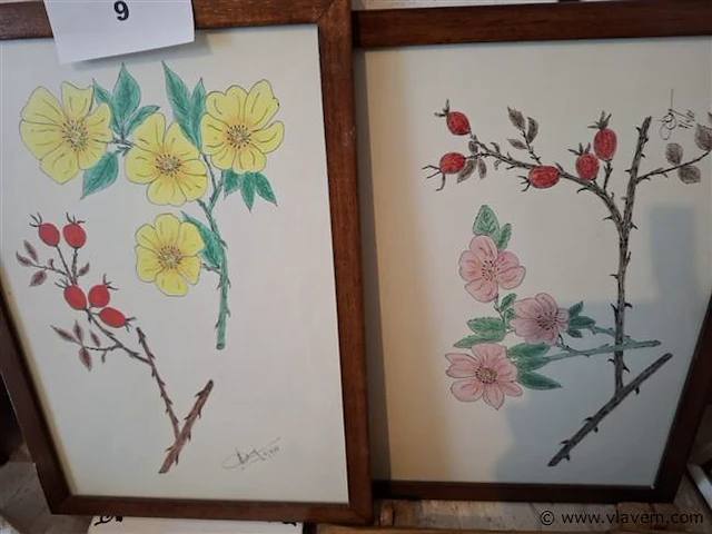 Lot kaders - afbeelding 3 van  3
