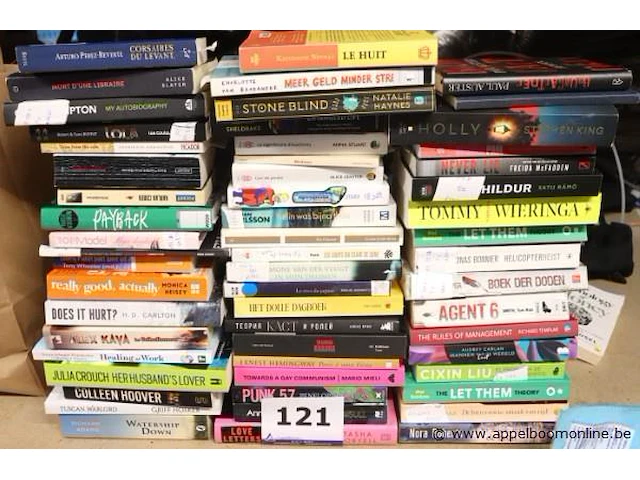 Lot leesboeken - afbeelding 1 van  1