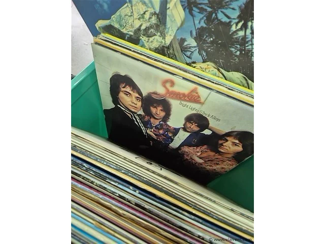 Lot lp en singles - afbeelding 5 van  6