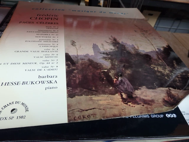 Lot lp's - afbeelding 1 van  3