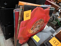Lot lp's - afbeelding 1 van  3