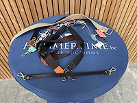 Lot riemen - afbeelding 1 van  1