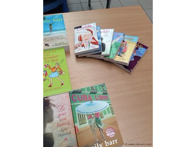 Lot romans - afbeelding 3 van  3