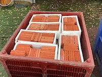 Lot steenstrips - afbeelding 5 van  9