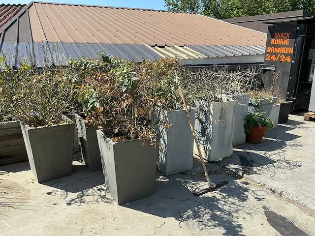 Lot stenen bloempotten 24 stuks - afbeelding 1 van  6
