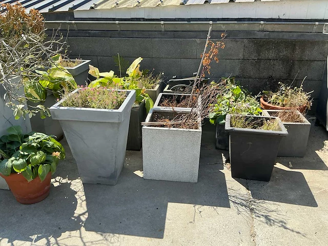 Lot stenen bloempotten 24 stuks - afbeelding 5 van  6