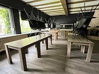 Lot van 10 bistrotafels en 28 stoelen