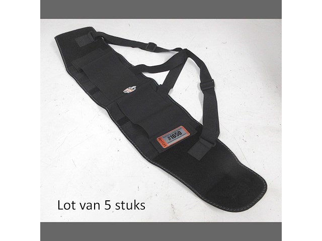 Lot van 5x ergo rugondersteunende riem ergodyne proflex 1650 small - afbeelding 1 van  2
