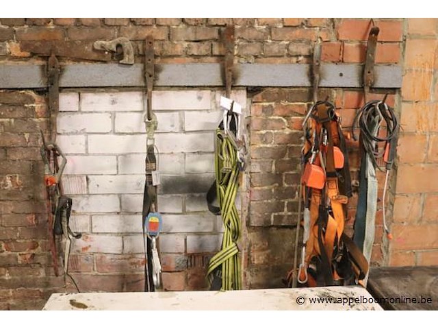 Lot veiligheidsharnassen - afbeelding 1 van  2