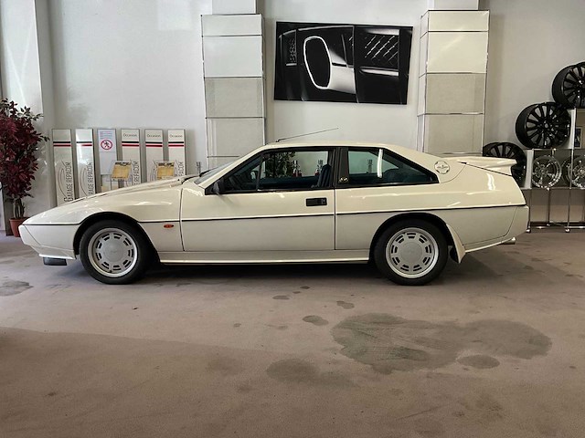 Lotus blinkt uit. oldtimers > 15 - afbeelding 12 van  39