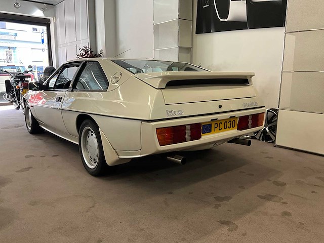 Lotus blinkt uit. oldtimers > 15 - afbeelding 23 van  39