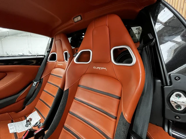 Lotus europa, 20085 - afbeelding 6 van  28