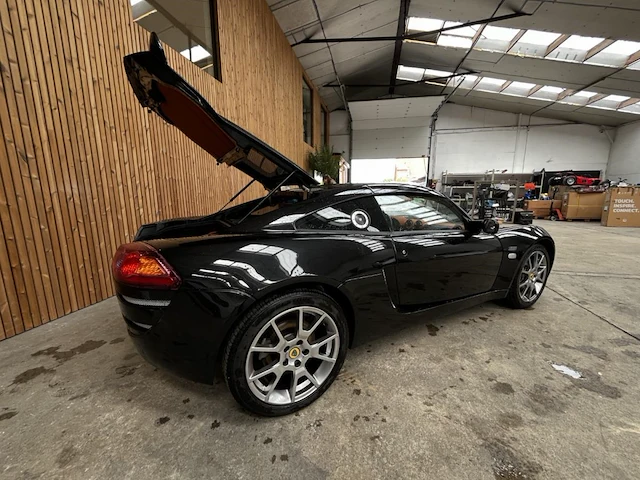 Lotus europa, 20085 - afbeelding 10 van  28