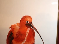 Louise body (x3) - afbeelding 4 van  6