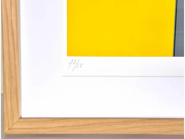 Luc peire - zeefdruk - ingelijst - afbeelding 4 van  8