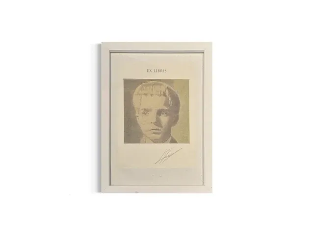 Luc tuymans - ex libris - afbeelding 1 van  1