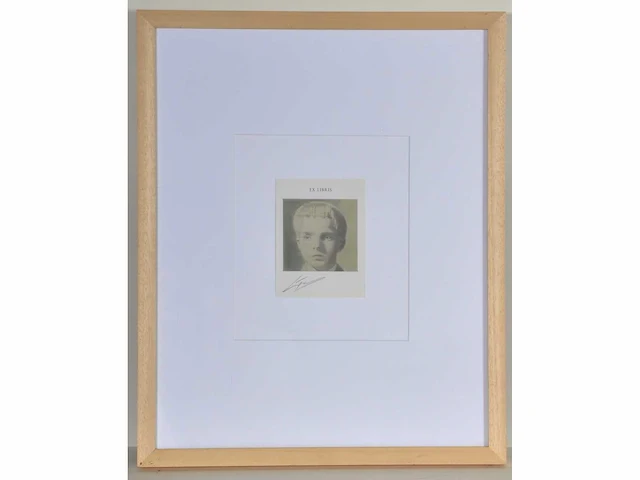 Luc tuymans - the valley - ex libris - offset - afbeelding 2 van  4