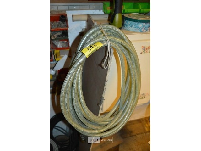 Luchtdarm - afbeelding 1 van  1