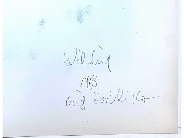 Ludwig wilding - lot van 3 prints + cataloog - afbeelding 10 van  13