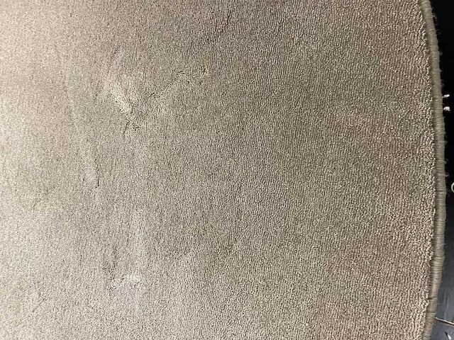 M-ray - ovaal - carpet - afbeelding 2 van  4