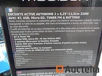 Madison highpower300 luidspreker - afbeelding 4 van  4