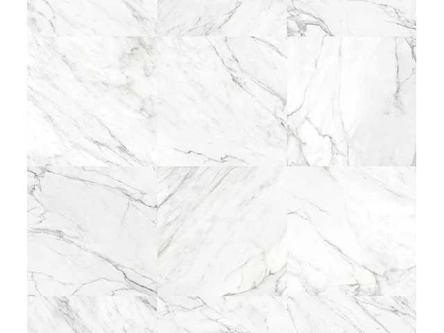 Magica stonemarble white silk 30x60 cm vloertegel 16,56 m² - afbeelding 6 van  6