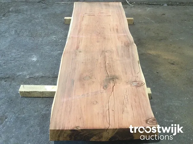 Mammoet boomstamtafel - afbeelding 2 van  9
