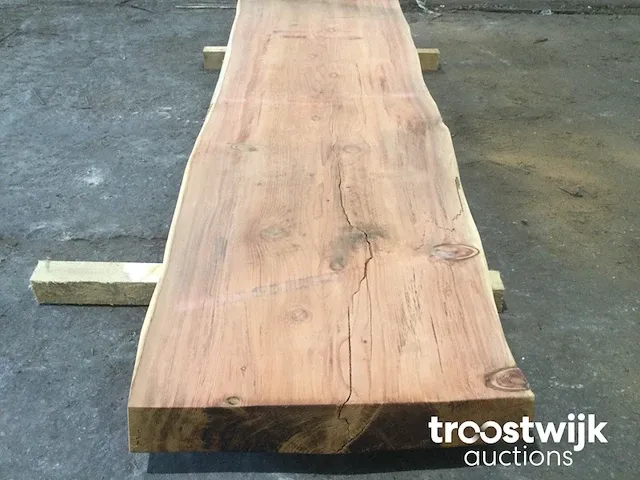 Mammoet boomstamtafel - afbeelding 3 van  9