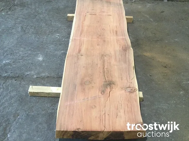 Mammoet boomstamtafel - afbeelding 4 van  9