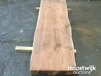 Mammoet boomstamtafel - afbeelding 4 van  9