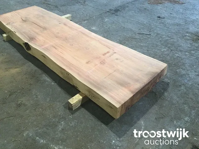 Mammoet boomstamtafel - afbeelding 5 van  9