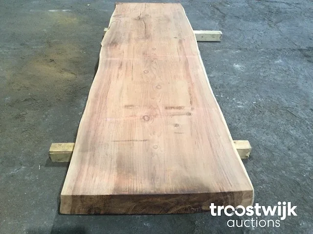 Mammoet boomstamtafel - afbeelding 6 van  9