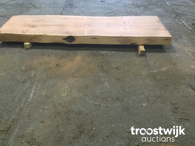 Mammoet boomstamtafel - afbeelding 7 van  9