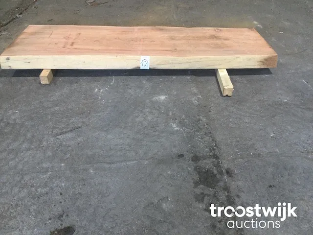 Mammoet boomstamtafel - afbeelding 8 van  9