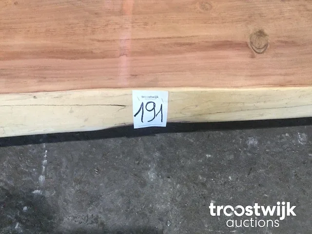 Mammoet boomstamtafel - afbeelding 9 van  9