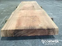 Mammoet boomstamtafel - afbeelding 2 van  12