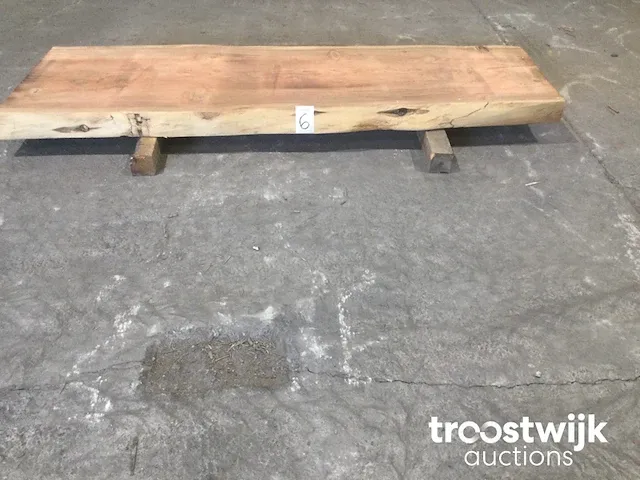 Mammoet boomstamtafel - afbeelding 3 van  12