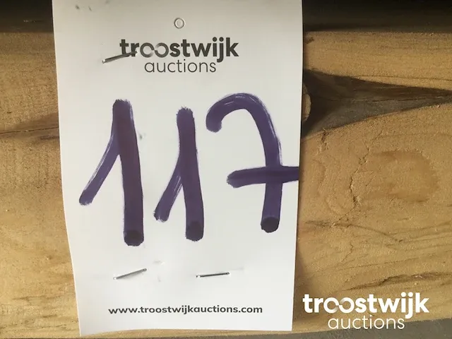 Mammoet boomstamtafel - afbeelding 4 van  12
