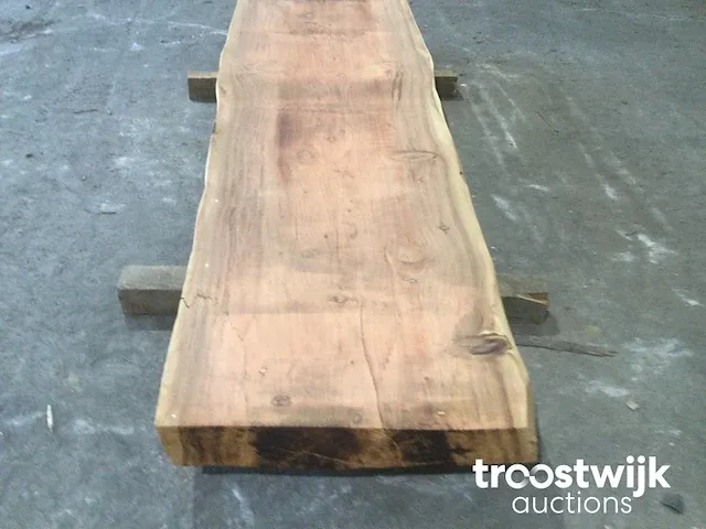 Mammoet boomstamtafel - afbeelding 5 van  12
