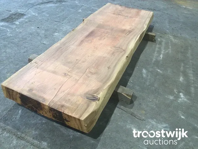 Mammoet boomstamtafel - afbeelding 7 van  12