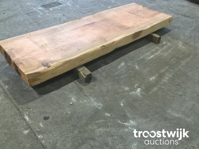Mammoet boomstamtafel - afbeelding 8 van  12