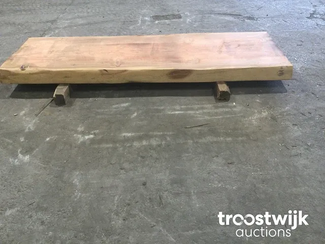 Mammoet boomstamtafel - afbeelding 9 van  12