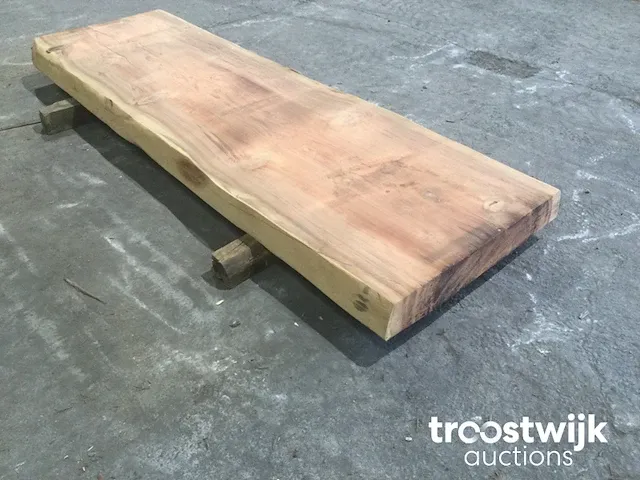 Mammoet boomstamtafel - afbeelding 10 van  12