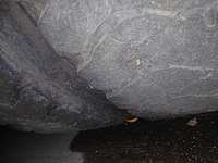 Man tgs met kwb trailer en hiab xs laadkraan - 2017 - afbeelding 30 van  56