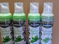Mantova basilico spray,4 flessen