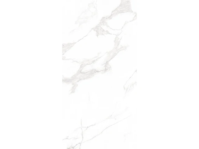 Marble carrara matt 60x120cm gerectificeerd 46,08m² - afbeelding 1 van  1