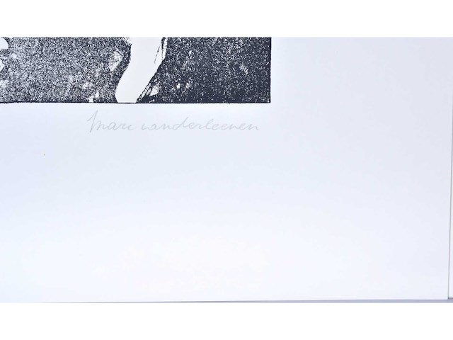 Marc vanderleenen - zeefdruk - afbeelding 3 van  8