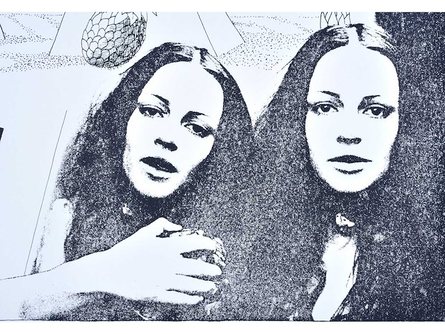 Marc vanderleenen - zeefdruk - afbeelding 5 van  8