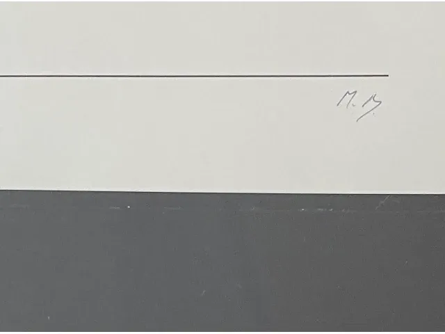 Marcel broodthaers - avis - afbeelding 3 van  3
